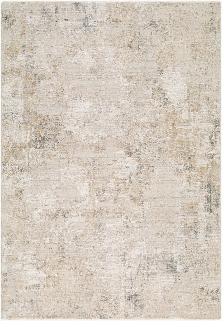 Livabliss Nathan NTH-2303-Sandstone-Ivory-Charcoal-Taupe Area Rug main image