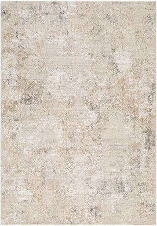 Livabliss Nathan NTH-2303-Sandstone-Ivory-Charcoal-Taupe Area Rug main image