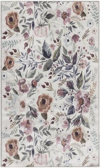 Nourison Washables NWB01 Ivory Pink Area Rug Main Image