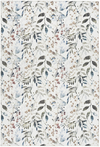 Nourison Washables NWB05 Ivory Multicolor Area Rug Main Image