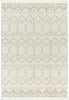 Livabliss New Delhi NWH-2305 Area Rug