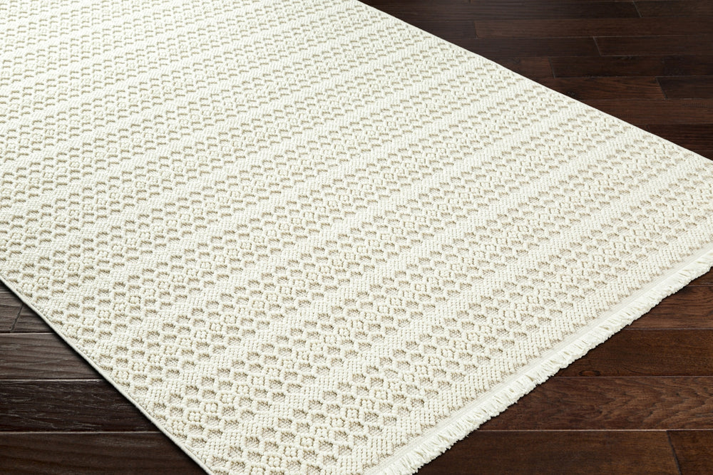 Livabliss New Delhi NWH-2308 Area Rug