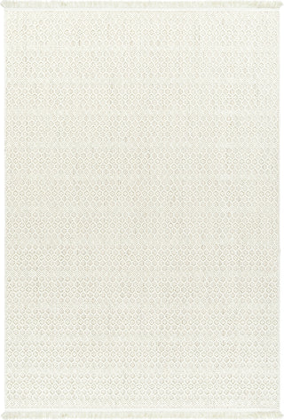 Livabliss New delhi NWH-2308 Area Rug