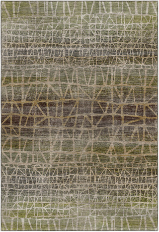Dalyn Nexus NX1 Fern Area Rug main image