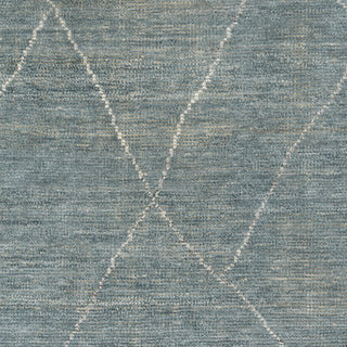 Surya Nalan NYL-2302 Area Rug Swatch