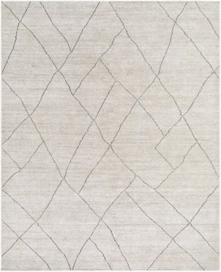 Surya Nalan NYL-2303 Area Rug Main