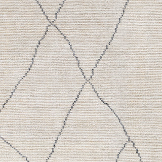 Surya Nalan NYL-2303 Area Rug Swatch