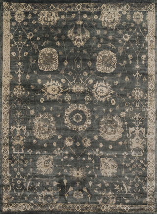 Loloi Nyla NY-25 Charcoal / Beige Area Rug main image