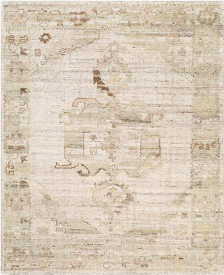 Surya Nilay NYY-2300 Area Rug main image