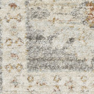 Nourison Oases OAE01 Grey Area Rug by Home Swatch Image