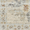 Nourison Oases OAE01 Ivory Beige Area Rug by Home Swatch Image