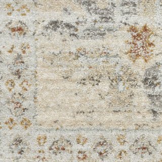 Nourison Oases OAE01 Ivory Beige Area Rug by Home Swatch Image