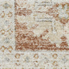 Nourison Oases OAE01 Terracotta Area Rug by Home Swatch Image