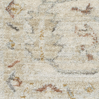 Nourison Oases OAE02 Beige Area Rug by Home Swatch Image