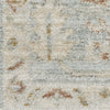 Nourison Oases OAE02 Light Blue Area Rug by Home Swatch Image