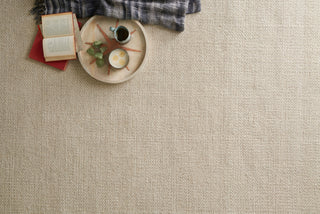 Loloi Oakwood OK-05 Gravel Area Rug Lifestyle Image Feature