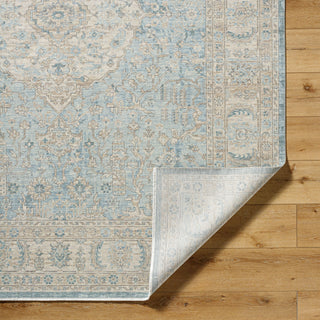Surya Once Upon a Time OAT-2300 Ash Area Rug Pile