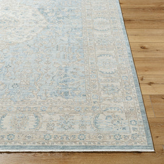 Surya Once Upon a Time OAT-2300 Ash Area Rug Angle