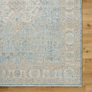 Surya Once Upon a Time OAT-2300 Ash Area Rug Detail