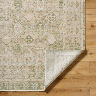 Surya Once Upon a Time OAT-2302 Ash Area Rug Pile