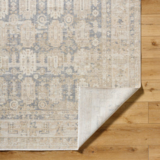 Surya Once Upon a Time OAT-2303 Ash Area Rug Pile