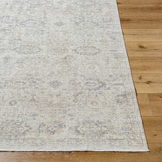 Surya Once Upon a Time OAT-2304 Ash Area Rug Angle