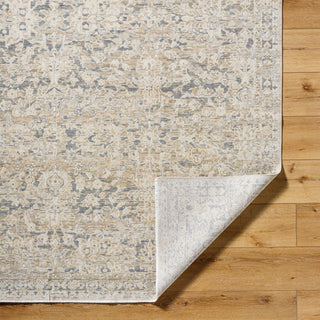 Surya Once Upon a Time OAT-2305 Ash Area Rug Pile