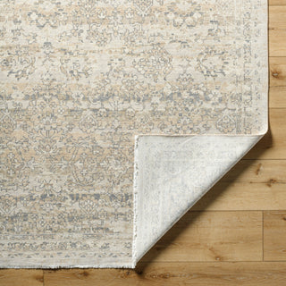 Surya Once Upon a Time OAT-2306 Ash Area Rug Pile