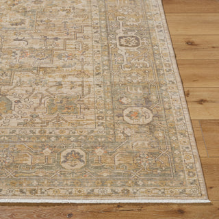 Surya Once Upon A Time OAT-2314 Light Beige Area Rug Angle