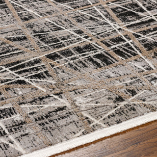 Livabliss Obsession OBN-2300 Area Rug Detail