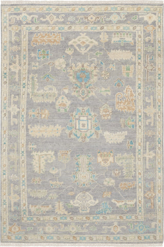 Nourison Odessa ODS01 Grey Multicolor Area Rug by Reserve Collection