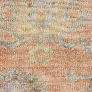 Nourison Odessa ODS04 Brick Multicolor Area Rug by Reserve Collection