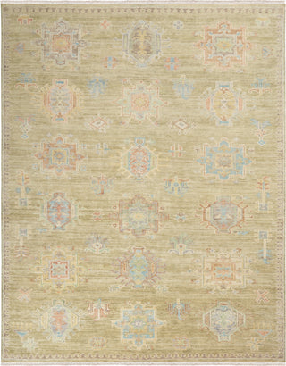 Nourison Odessa ODS05 Sage Area Rug by Reserve Collection