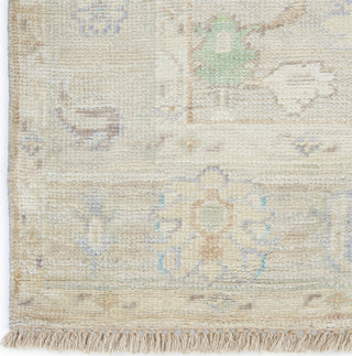 Nourison Odessa ODS07 Ivory Multicolor Area Rug by Reserve Collection