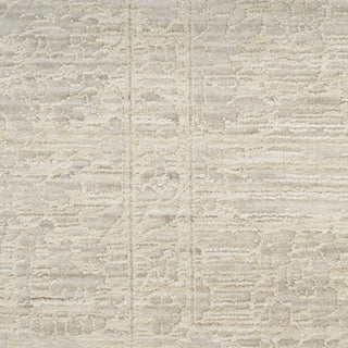 Nourison Outlines OLN03 Ivory Grey Area Rug Swatch Image