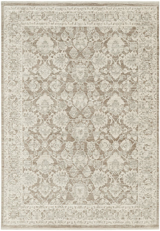Nourison Outlines OLN03 Ivory Mocha Area Rug Main Image
