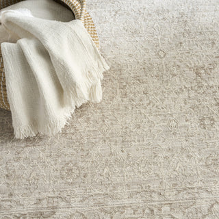 Nourison Outlines OLN04 Ivory Grey Area Rug Texture Image
