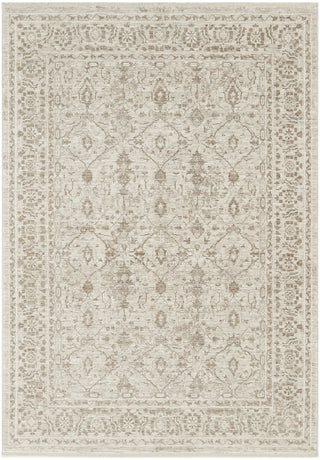 Nourison Outlines OLN05 Ivory Grey Area Rug Main Image