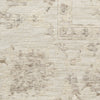 Nourison Outlines OLN07 Ivory Area Rug Swatch Image