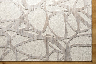 Surya Ombre OMB-2303 Area Rug Detail
