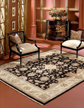 Ancient Boundaries Omni OMN-01 Area Rug Lifestyle Image