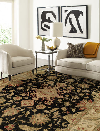 Ancient Boundaries Omni OMN-01 Area Rug Closeup Image