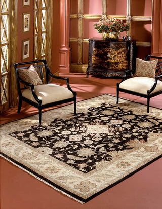 Ancient Boundaries Omni OMN-01 Area Rug Closeup Image