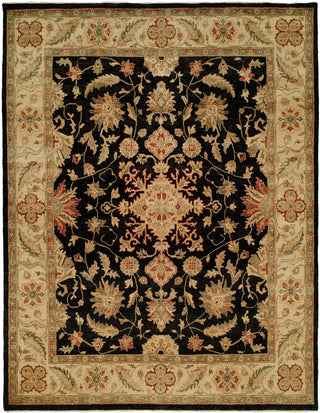 Ancient Boundaries Omni OMN-01 Area Rug Main Image