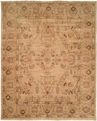 Ancient Boundaries Omni OMN-09 Area Rug Main Image
