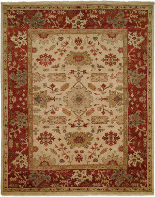 Ancient Boundaries Omni OMN-11 Area Rug Main Image
