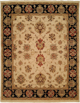 Ancient Boundaries Omni OMN-12 Area Rug Main Image
