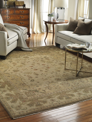 Ancient Boundaries Omni OMN-18 Area Rug Closeup Image