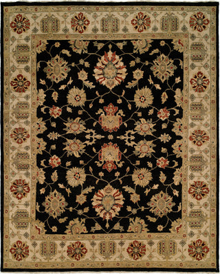 Ancient Boundaries Omni OMN-19 Area Rug Main Image
