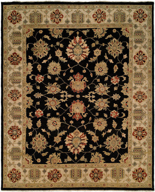 Ancient Boundaries Omni OMN-19 Area Rug Main Image